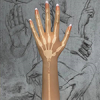 Articulated Fingers  + $99 